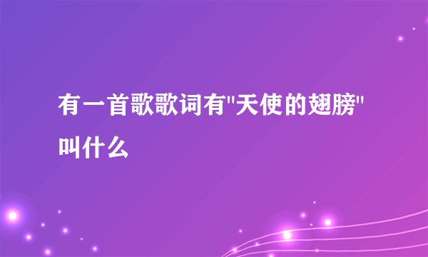有一首歌歌词有