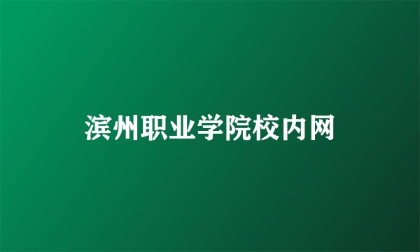 滨州职业学院校内网