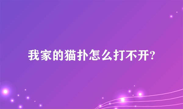 我家的猫扑怎么打不开?