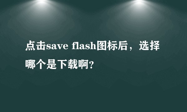 点击save flash图标后，选择哪个是下载啊？