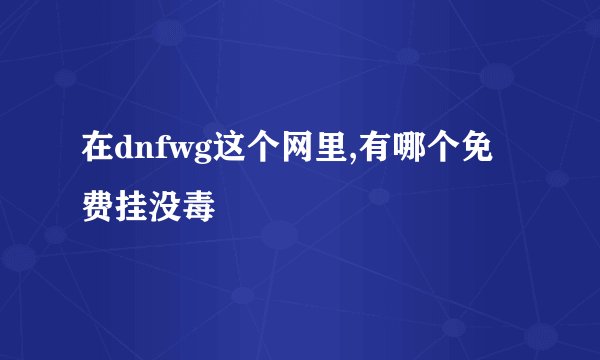 在dnfwg这个网里,有哪个免费挂没毒