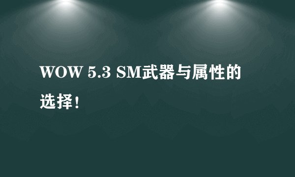 WOW 5.3 SM武器与属性的选择!