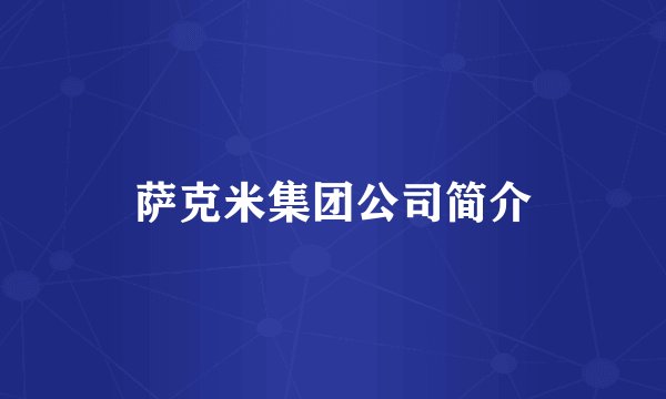 萨克米集团公司简介