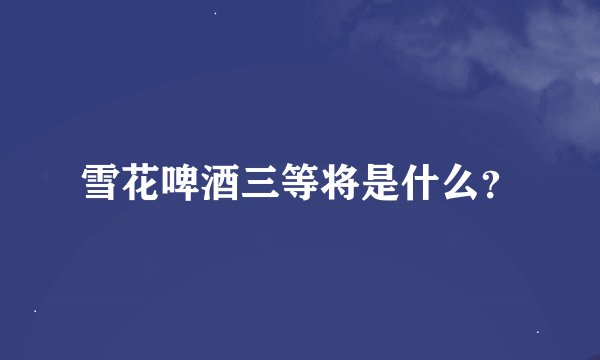 雪花啤酒三等将是什么？