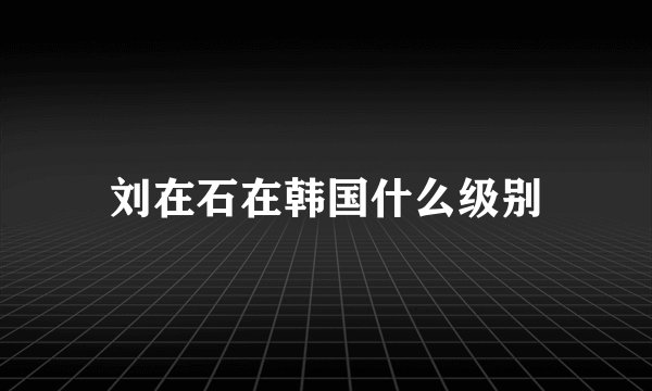 刘在石在韩国什么级别