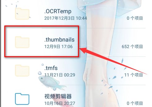 手机里的thumbdata是什么文件?