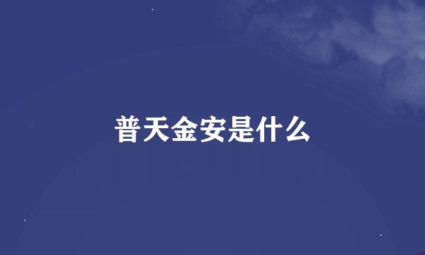 普天金安是什么