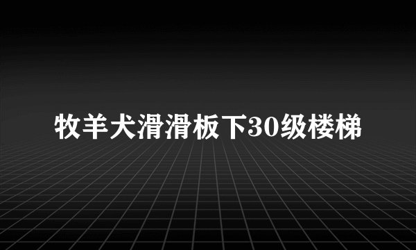 牧羊犬滑滑板下30级楼梯