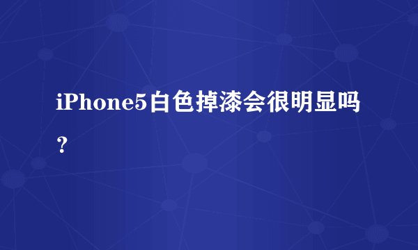 iPhone5白色掉漆会很明显吗?