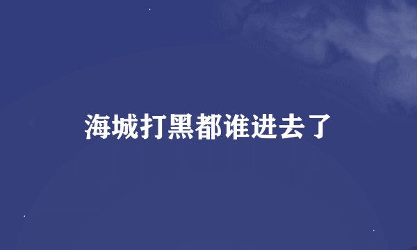 海城打黑都谁进去了