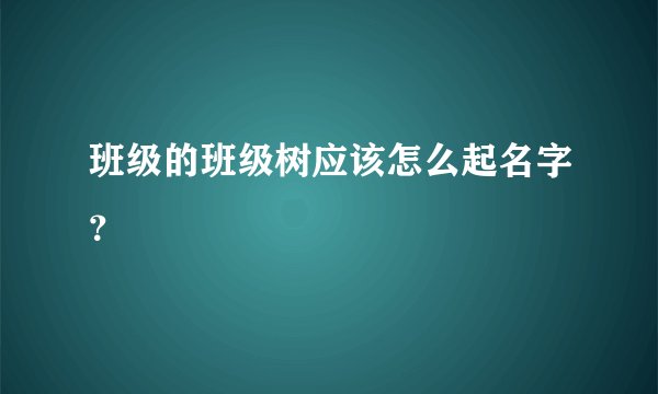 班级的班级树应该怎么起名字？