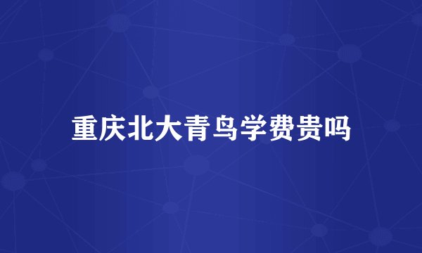 重庆北大青鸟学费贵吗