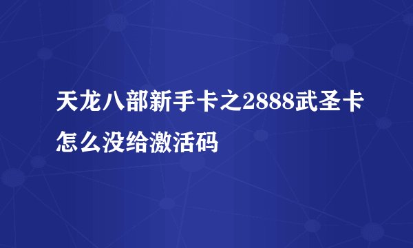 天龙八部新手卡之2888武圣卡怎么没给激活码