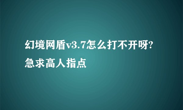 幻境网盾v3.7怎么打不开呀?急求高人指点