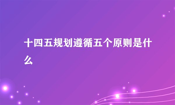 十四五规划遵循五个原则是什么