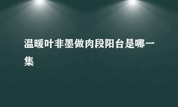 温暖叶非墨做肉段阳台是哪一集