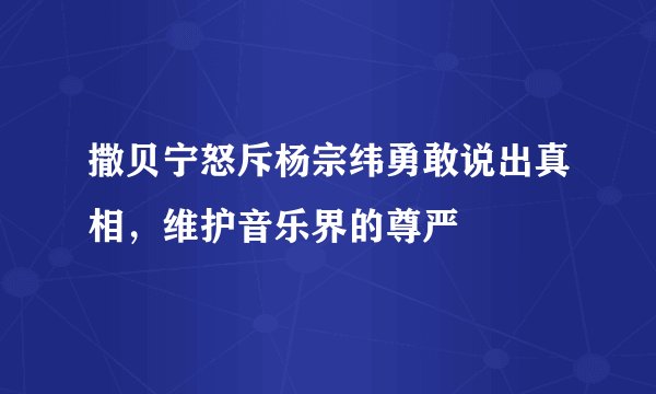 撒贝宁怒斥杨宗纬勇敢说出真相，维护音乐界的尊严