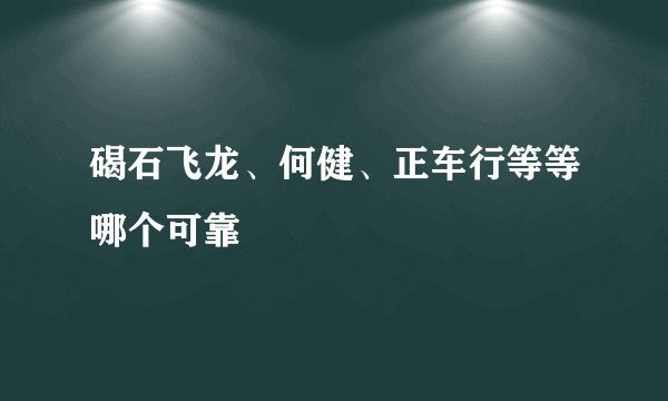 碣石飞龙、何健、正车行等等哪个可靠