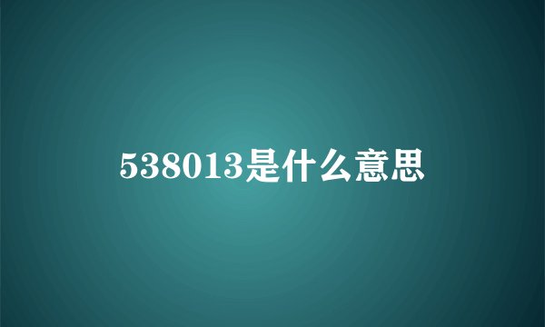 538013是什么意思
