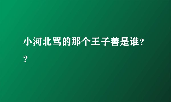 小河北骂的那个王子善是谁？？