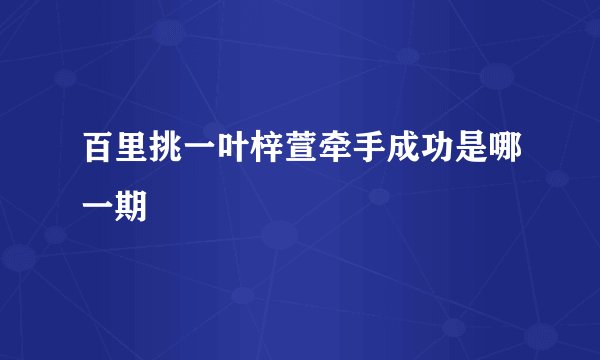 百里挑一叶梓萱牵手成功是哪一期