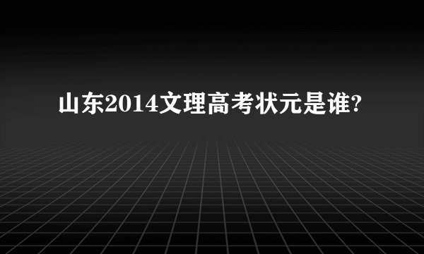 山东2014文理高考状元是谁?