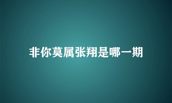 非你莫属张翔是哪一期