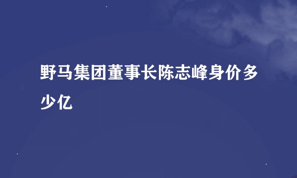 野马集团董事长陈志峰身价多少亿
