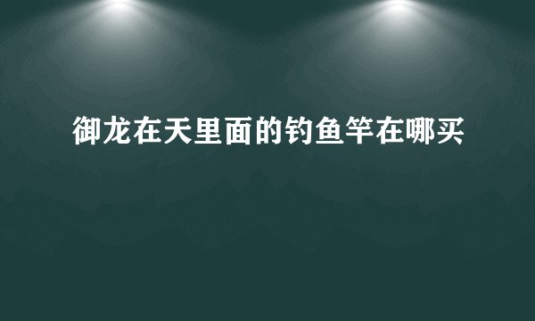 御龙在天里面的钓鱼竿在哪买
