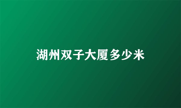 湖州双子大厦多少米