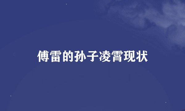 傅雷的孙子凌霄现状