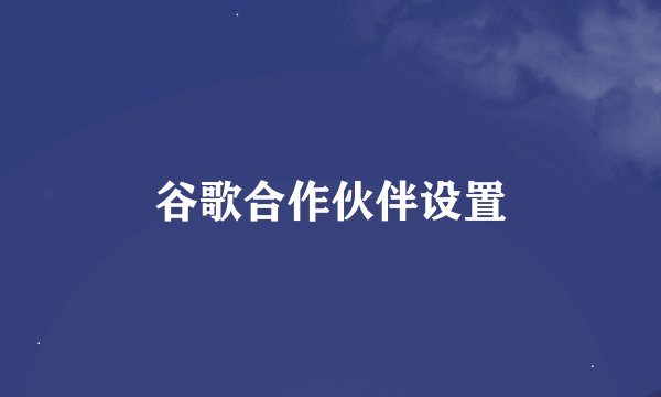 谷歌合作伙伴设置