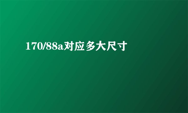 170/88a对应多大尺寸