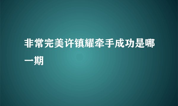 非常完美许镇耀牵手成功是哪一期