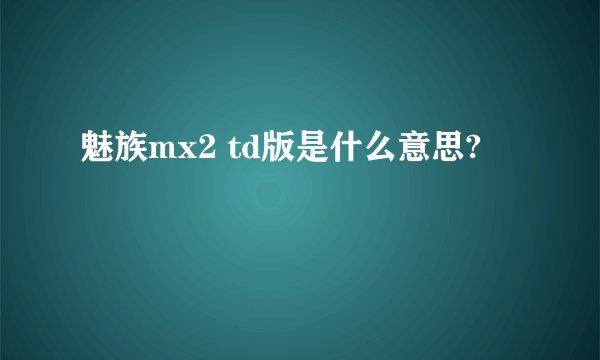 魅族mx2 td版是什么意思?