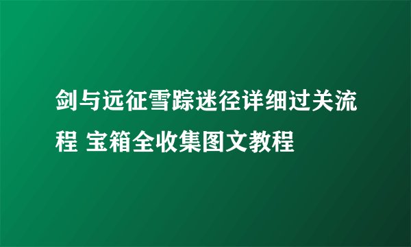 剑与远征雪踪迷径详细过关流程 宝箱全收集图文教程
