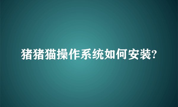 猪猪猫操作系统如何安装?