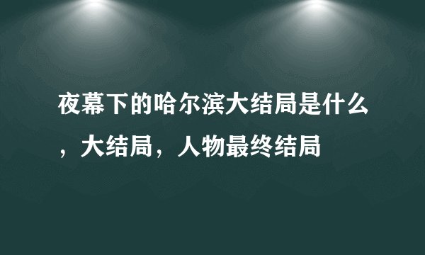 夜幕下的哈尔滨大结局是什么，大结局，人物最终结局
