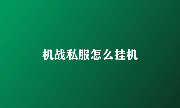 机战私服怎么挂机