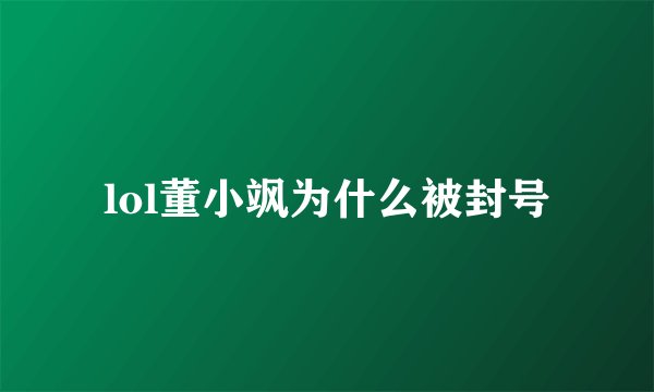 lol董小飒为什么被封号