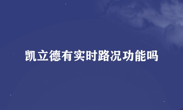 凯立德有实时路况功能吗