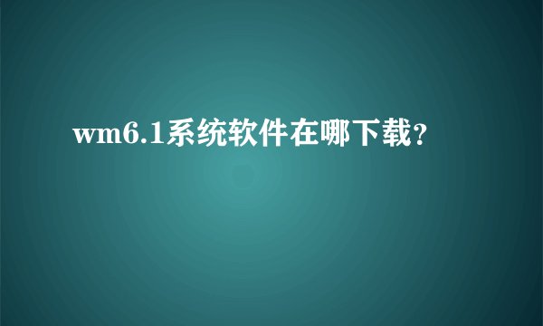 wm6.1系统软件在哪下载？