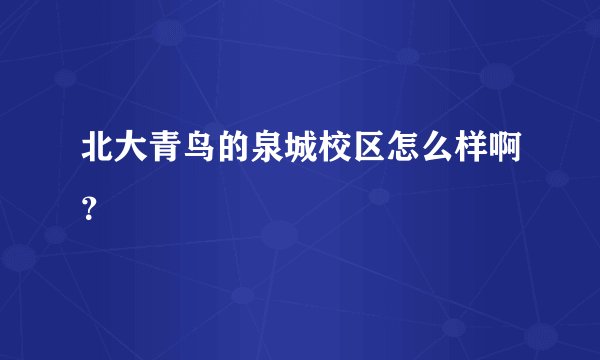 北大青鸟的泉城校区怎么样啊?