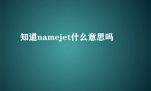 知道namejet什么意思吗