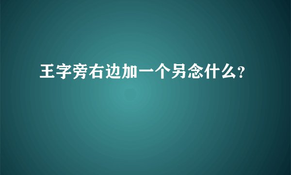 王字旁右边加一个另念什么？