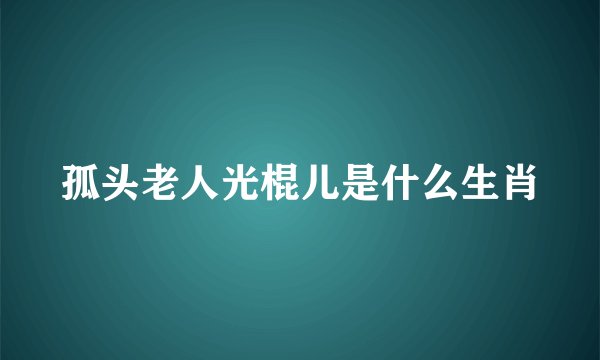孤头老人光棍儿是什么生肖