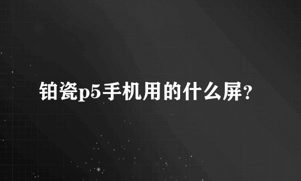 铂瓷p5手机用的什么屏？
