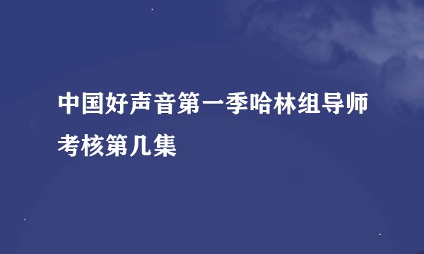 中国好声音第一季哈林组导师考核第几集