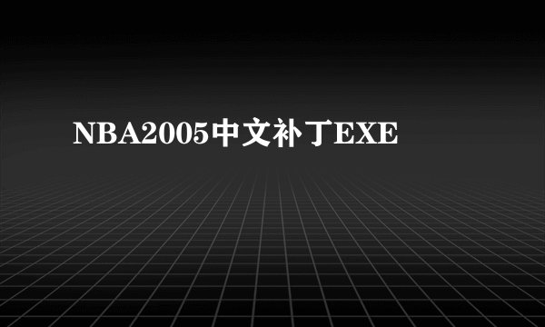 NBA2005中文补丁EXE