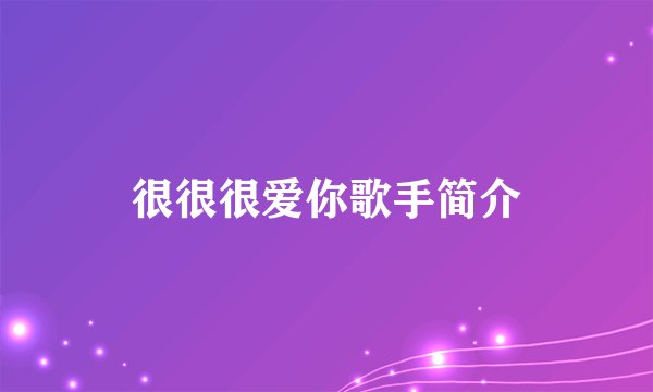 很很很爱你歌手简介